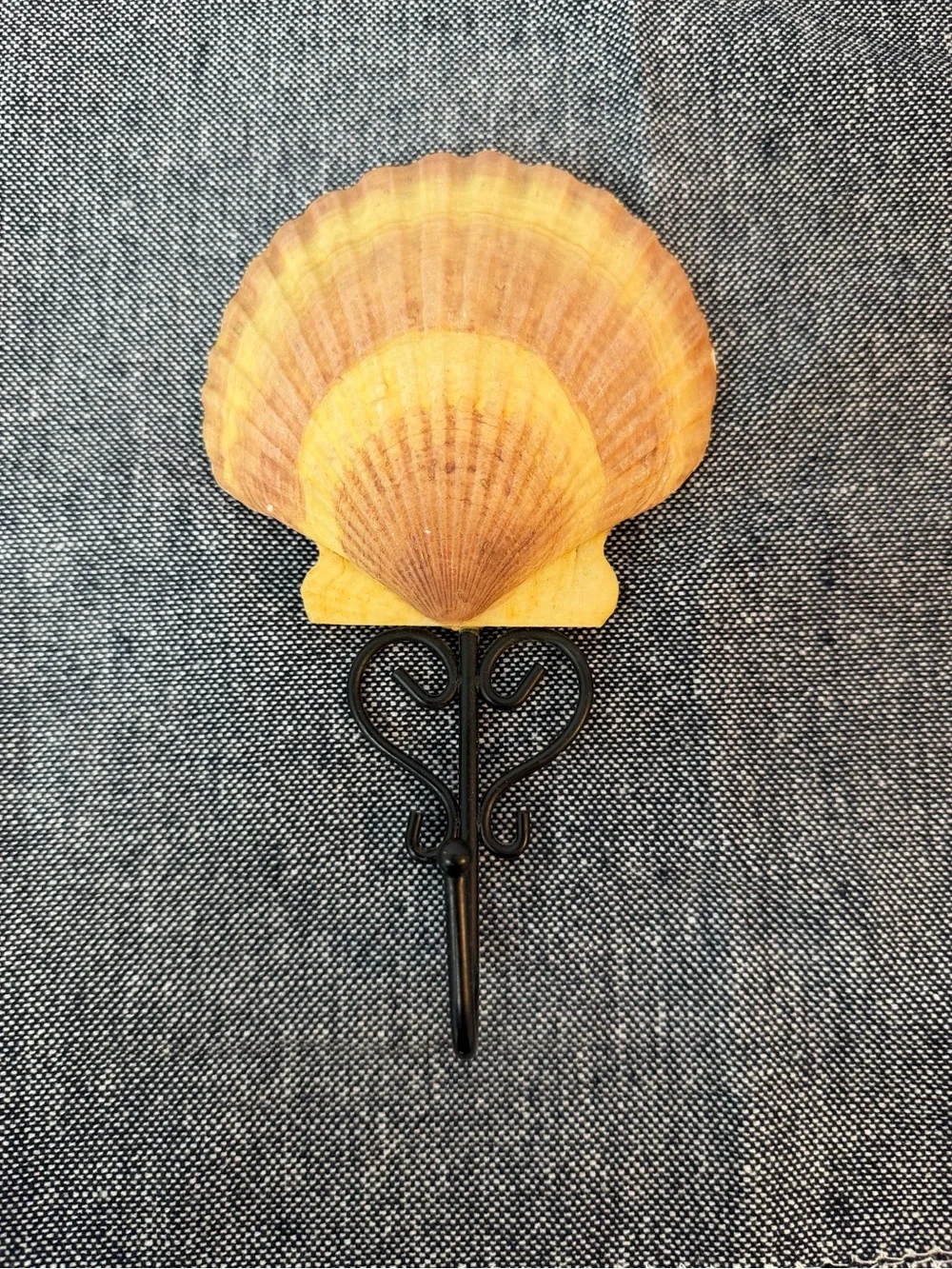 Coastal Scallop Shell Wall Hook Nautical Beach Cottage Decor